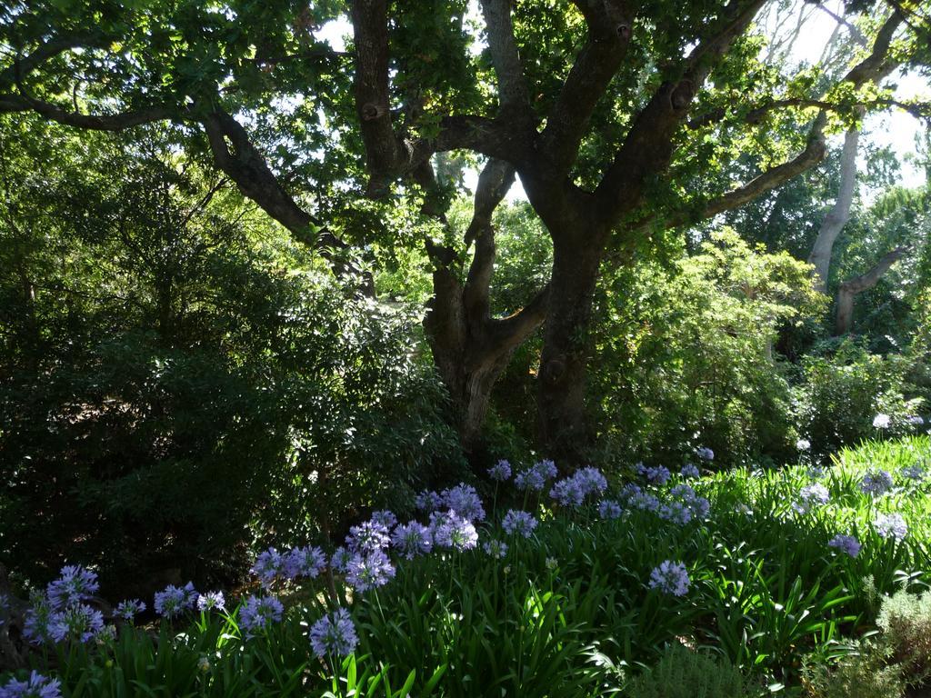 Klein Waterval Riverside Lodge Franschhoek Εξωτερικό φωτογραφία